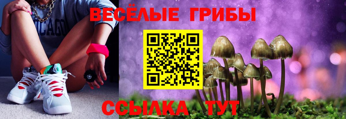 Нальчик  Галлюциногенные грибы Magic Shrooms  Вход с VPN 