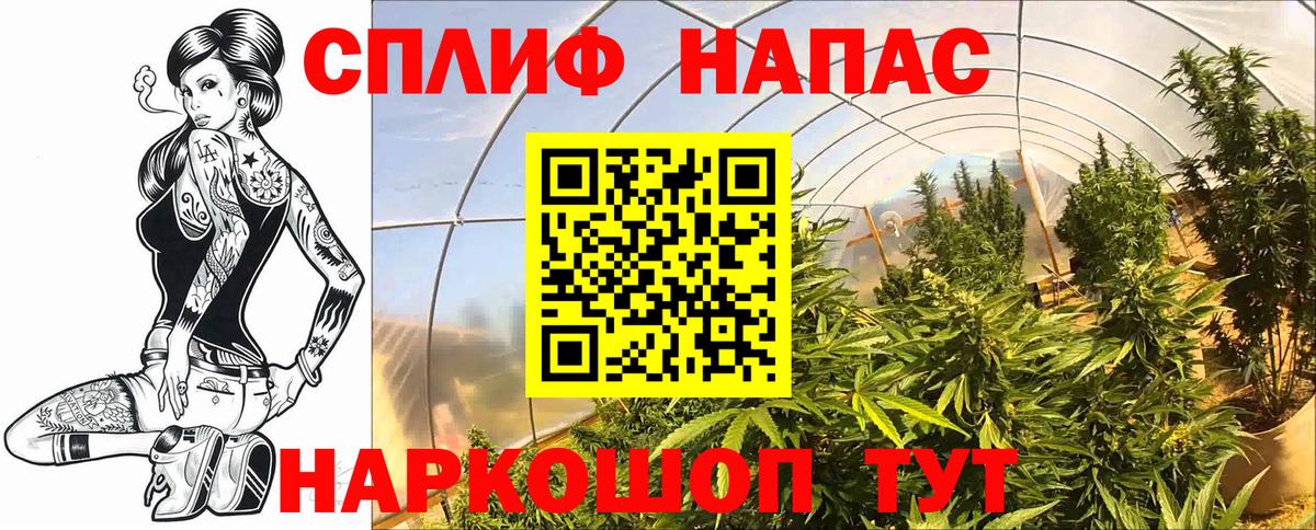 Каннабис ГИДРОПОН Нальчик