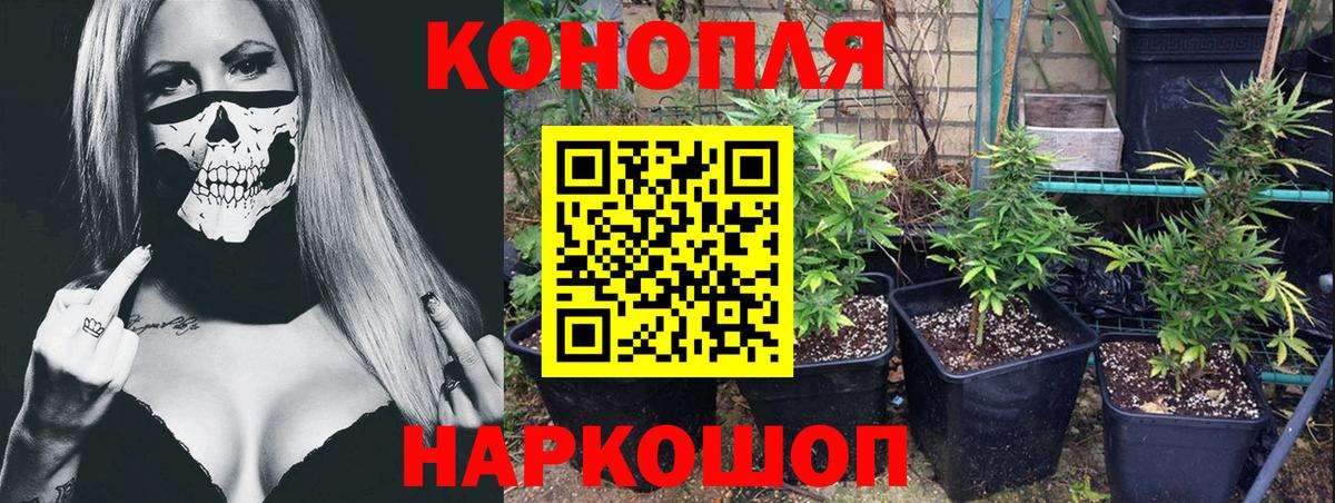Каннабис White Widow  Канабис конопля  Нальчик  Каннабис ГИДРОПОН  Вход с VPN 